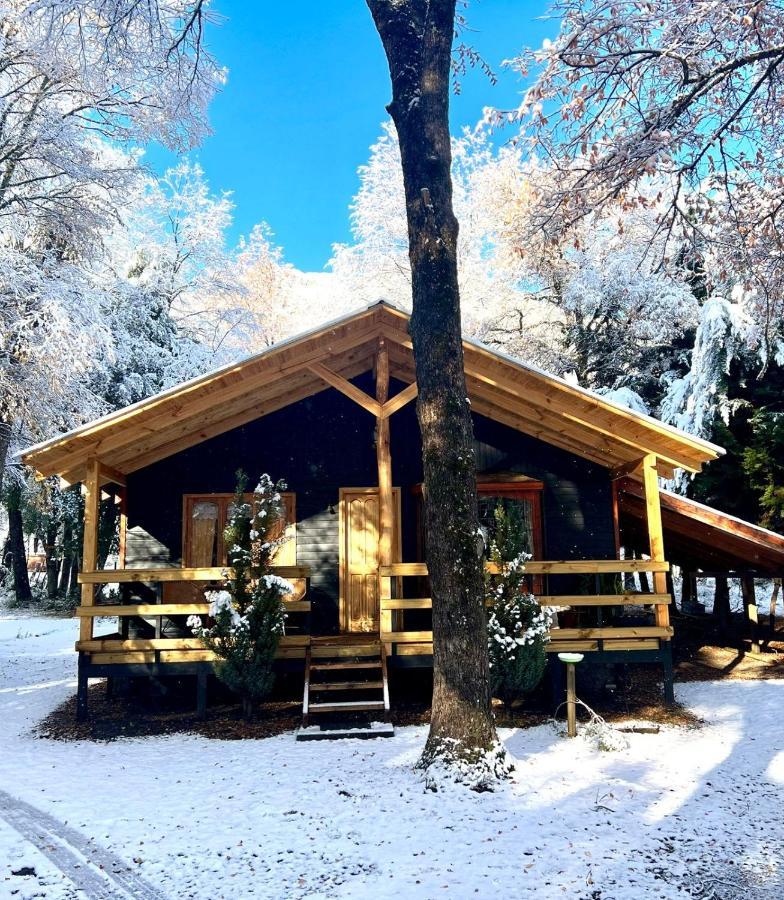 Cabanas Bosque Las Trancas Ngoại thất bức ảnh