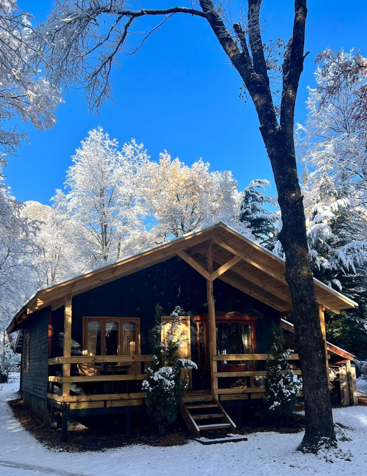 Cabanas Bosque Las Trancas Ngoại thất bức ảnh